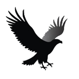 Black eagle silhouette flying with wings extended in a bold, minimalist graphic style