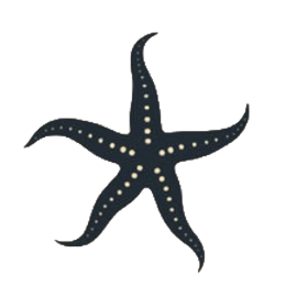animals starfish graphic SVG PNG design