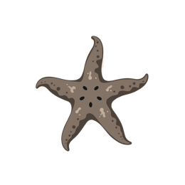 Cartoon starfish SVG design with five arms in brown and beige on a light background