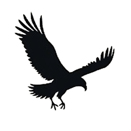 Black eagle silhouette with wings spread wide on a cream background, minimalist flat design for crafts