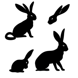 Set of four black rabbit silhouette SVGs in different poses on a light gray background