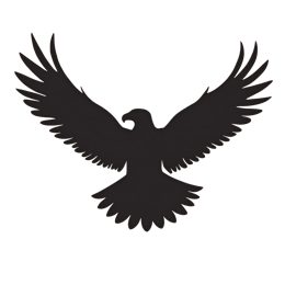 Black eagle silhouette with wings spread wide in flight on a light beige background