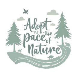 adopt pace butterfly SVG PNG design with hand-drawn style
