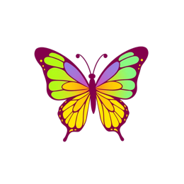 butterfly colorful SVG PNG design