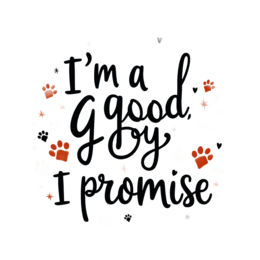 good promises SVG PNG design with bold lettering, an uplifting message