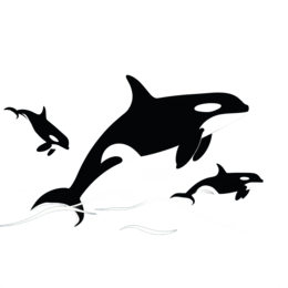 orcas jumping SVG PNG design
