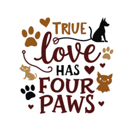 quotes love four paws SVG PNG design with bold lettering