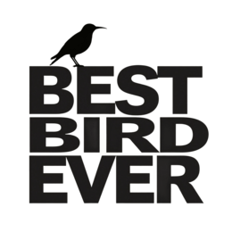 quotes bestbirdever SVG PNG design with bold lettering