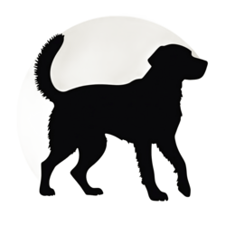 pets dog silhouette SVG PNG design