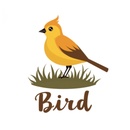 bird illustration SVG PNG design