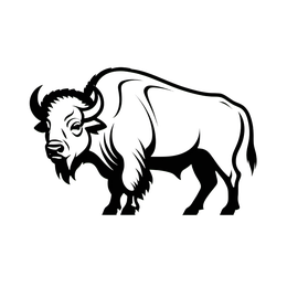 bison SVG PNG design