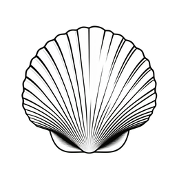 shell SVG PNG design