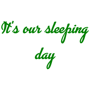 it's our sleeping day quote SVG PNG design with bold lettering