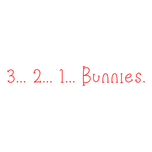 3 2 1 bunniessrg1ojgag1h quote SVG PNG design
