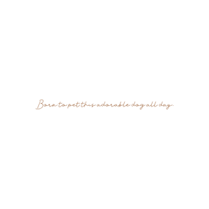 born to pet this adorable dog all day quote SVG PNG design
