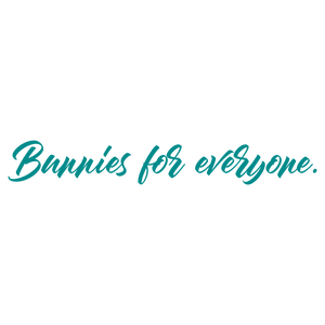 bunnies for everyone quote SVG PNG design with bold lettering