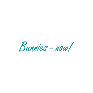 bunnies now quote SVG PNG design