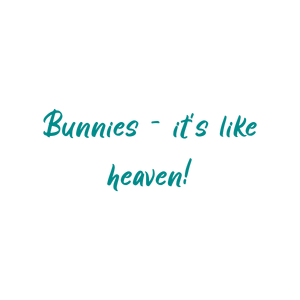 bunnies it's like heaven quote SVG PNG design