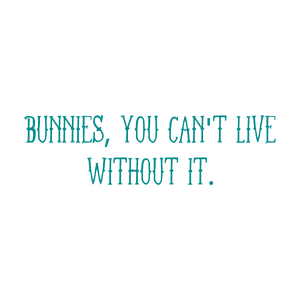 bunnies you can't live without it quote SVG PNG design