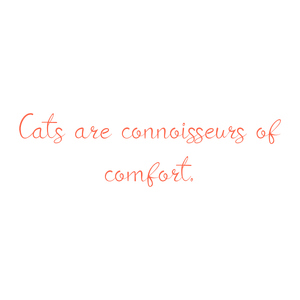 cats are connoisseurs of comfort quote SVG PNG design