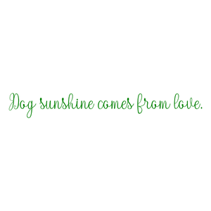 dog sunshine comes from love quote SVG PNG design with an uplifting message