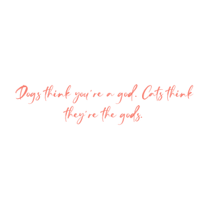 dogs think you're a god cats they're the godswkrryvu0ahy quote SVG PNG design with hand-drawn style