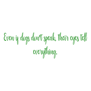 even if dogs don't speak their eyes tell everything quote SVG PNG design with bold lettering