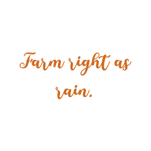 farm right as rain quote SVG PNG design with an uplifting message