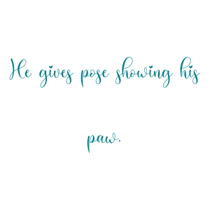 he gives pose showing his paw quote SVG PNG design