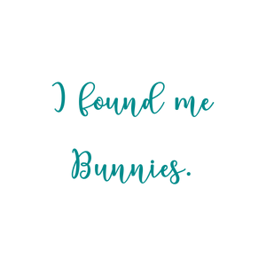 i found me bunnies quote SVG PNG design