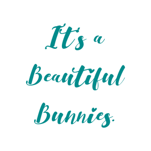 it's a beautiful bunnies quote SVG PNG design with bold lettering