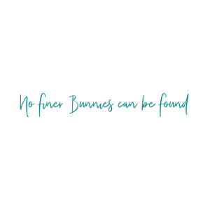 no finer bunnies can be found quote SVG PNG design with an uplifting message