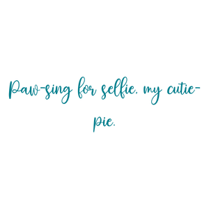 paw sing for selfie my cutie pie quote SVG PNG design