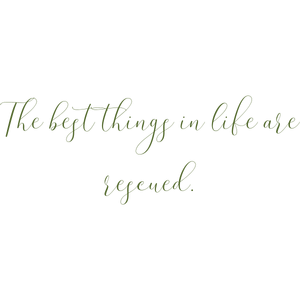 the best things in life are rescued quote SVG PNG design with an uplifting message