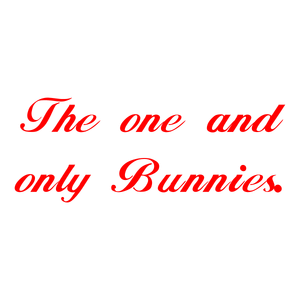 the one and only bunnies quote SVG PNG design with bold lettering
