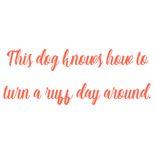 this dog knows how to turn a ruff day around quote SVG PNG design with an uplifting message