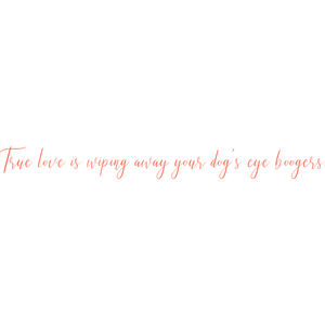 true love is wiping away your dog's eye boogers quote SVG PNG design