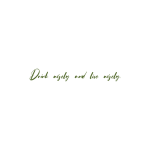 drink wisely and live quote SVG PNG design