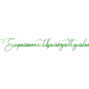 experience the royalty sleep quote SVG PNG design