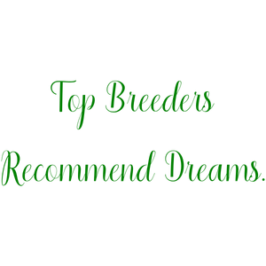 top breeders recommend dreams quote SVG PNG design with bold lettering