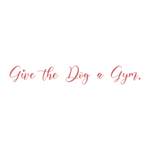 give the dog a gym quote SVG PNG design with bold lettering