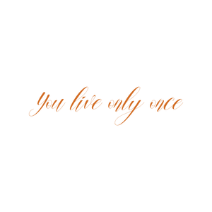 you live only oncemoaulntldx4lvc15jkpphqs54s2a0o0jj quote SVG PNG design with an uplifting message