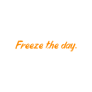freeze the day676 quote SVG PNG design with hand-drawn style, bold lettering