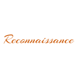 reconnaissance quote SVG PNG design with bold lettering