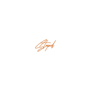stupid quote SVG PNG design with bold lettering