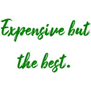 expensive but the best quote SVG PNG design with bold lettering, an uplifting message