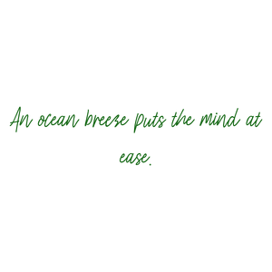 an ocean breeze puts the mind at ease quote SVG PNG design