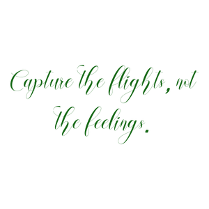 capture the flights not feelings quote SVG PNG design with bold lettering