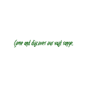 come and discover our vast range quote SVG PNG design with hand-drawn style