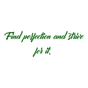 find perfection and strive for it quote SVG PNG design with bold lettering